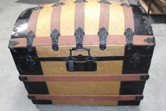 Camel-Trunk-1