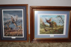 Framed-Pictures