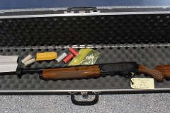 Guns-11