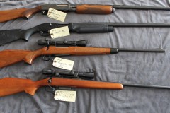 Guns-10-13