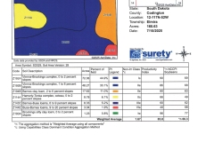 Surety